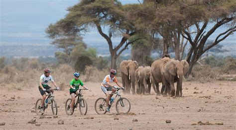 The African Grand Experience 2024 .
